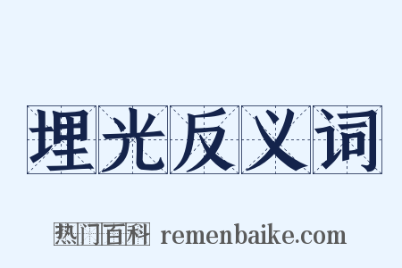 埋光反义词是什么意思的图片